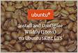 Install and Configure Wildfly JBoss on Ubuntu 18.04 LT